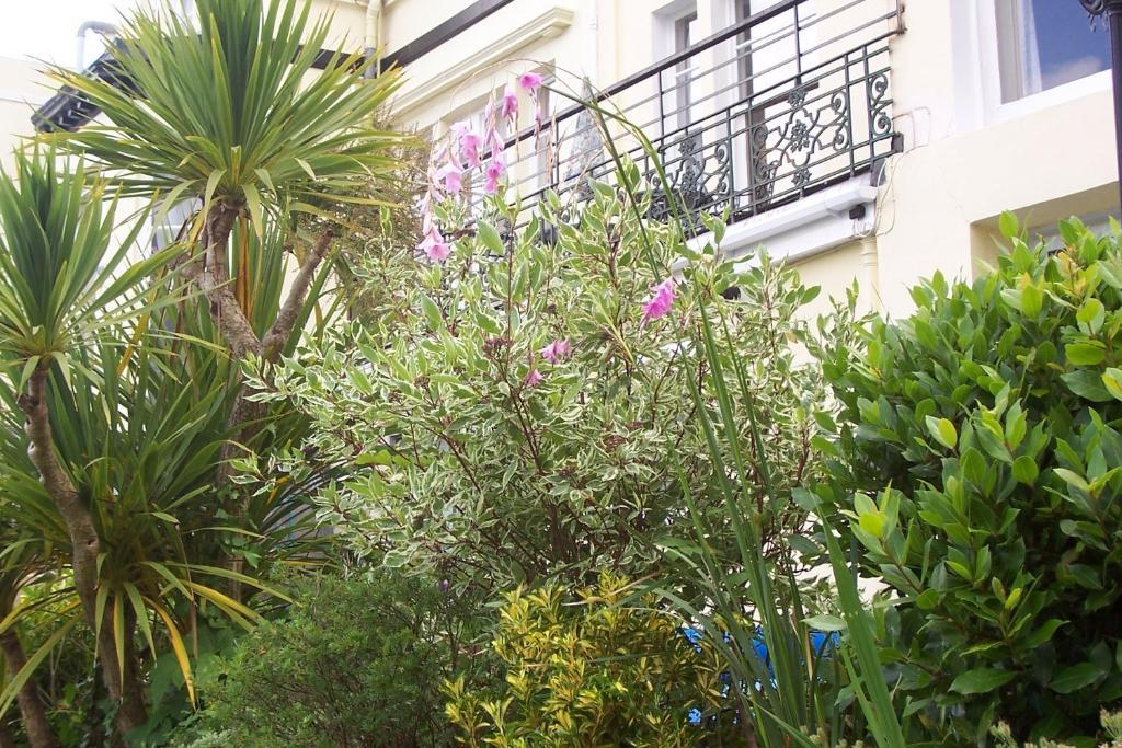 Ashwood Grange Bed and Breakfast Torquay Εξωτερικό φωτογραφία
